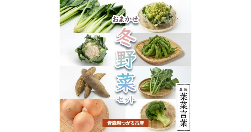 【ふるさと納税】葉菜言葉のおまかせ冬野菜セット 1kg｜旬の野菜 冬 野菜セット 詰め合わせ 産直 農家直送 新鮮 ギフト 鍋 [0637]