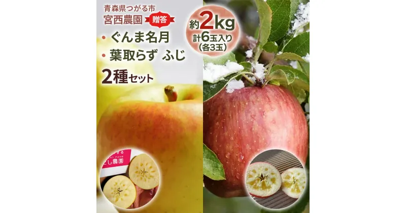 【ふるさと納税】[贈答用] ぐんま名月×葉取らずふじ【約2kg 各3玉入り 計6玉】贅沢りんご 2種セット｜青森産 津軽 つがる りんご リンゴ 果物 フルーツ [0681]