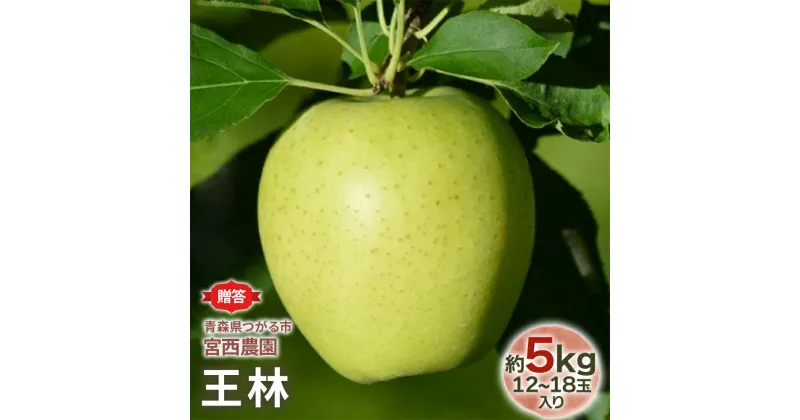 【ふるさと納税】[贈答] 王林【約5kg 12～18玉入り】芳醇な香りの青りんご｜青森産 津軽 つがる りんご リンゴ 果物 フルーツ [0684]