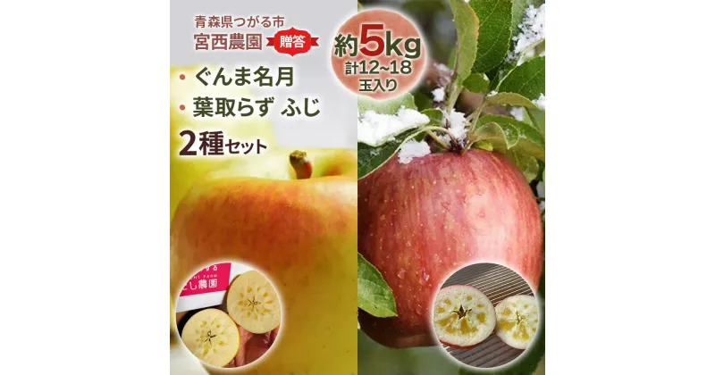 【ふるさと納税】[贈答] ぐんま名月×葉取らずふじ【約5kg 計12～18玉入り】贅沢りんご 2種セット｜青森産 津軽 つがる りんご リンゴ 果物 フルーツ [0686]