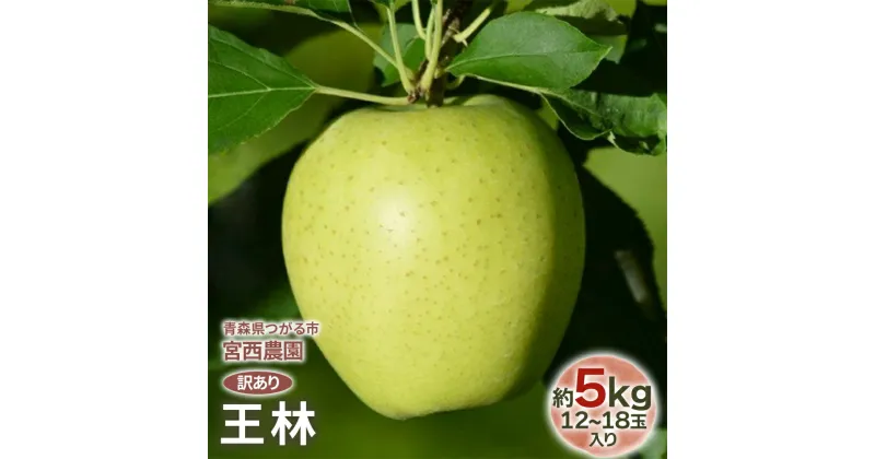 【ふるさと納税】[訳あり] 王林【約5kg 12～18玉入り】芳醇な香りの青りんご｜訳アリ 青森産 津軽 つがる りんご リンゴ 果物 フルーツ [0689]