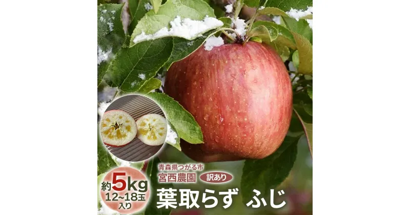 【ふるさと納税】[訳あり] 葉取らず ふじ【約5kg 12～18玉入り】｜訳アリ 青森産 津軽 つがる りんご リンゴ 果物 フルーツ [0690]