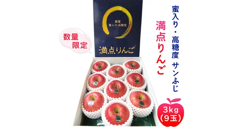 【ふるさと納税】[贈答用] サンふじ「満点りんご」3kg (9玉)【数量限定】｜青森産 つがる 津軽 リンゴ 林檎 果物 フルーツ サンフジ 厳選りんご 2024年 令和6年 [0725]