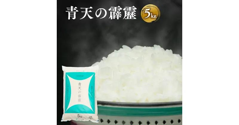 【ふるさと納税】令和6年産 青天の霹靂 約5kg 【青森県 平川市】 米 お米 精米 青森県産 産地直送 おにぎり 朝ご飯 冷めてもおいしい ご飯 コメ こめ 白米 ごはん ブランド米 特A 特A米 お取り寄せ グルメ レビューキャンペーン