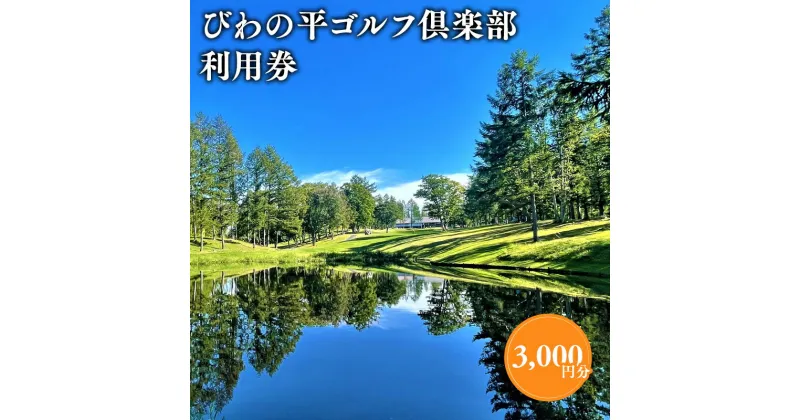 【ふるさと納税】びわの平ゴルフ倶楽部 利用券 3,000円分 ゴルフ場利用権 びわの平 利用券 ラウンド ゴルフ 谷越え 林間コース GPSナビ 乗用カート カート 乗入れ シニア 利用券 ゴルフ ラウンド ゴルフプレー券 プレー券 ホール 平川市 平川 レビューキャンペーン