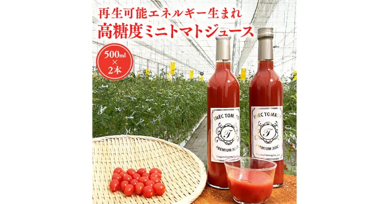 【ふるさと納税】高糖度 ミニトマトジュース500ml×2本 無添加 高糖度 アイコ トマト トマトジュース 野菜 ジュース 野菜ジュース 野菜飲料 飲料 減農薬 再生エネルギー お取り寄せ 食品 平川市 青森県 レビューキャンペーン