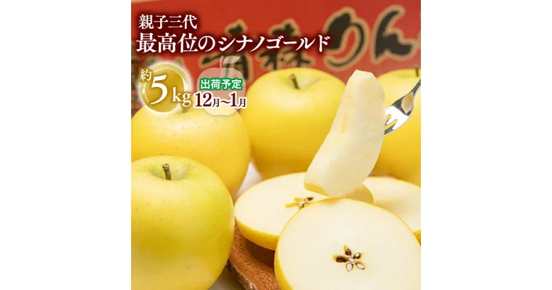 【ふるさと納税】【全国ふじコンテスト最高賞受賞・青森りんご・平川市広船産・12月・1月発送】年内 家庭用　親子三代最高位のシナノゴールド約5kg リンゴ りんご リンゴ 平川市 青森 レビューキャンペーン