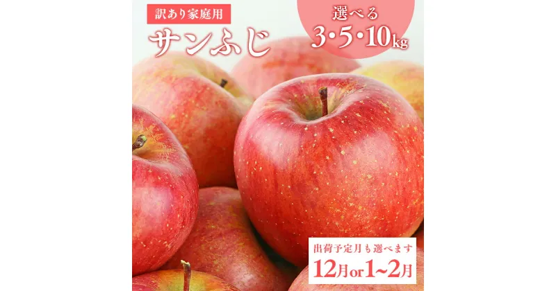 【ふるさと納税】≪発送時期と内容量が選べる≫青森県産 訳あり サンふじ 3kg 5kg 10kg【青森県 平川市 山内農園】家庭用 12月発送 1月〜2月発送 平川市産 青森りんご りんご リンゴ 林檎 ふじ 贈答 贈答品 お取り寄せ 先行予約 果物 くだもの フルーツ レビューキャンペーン