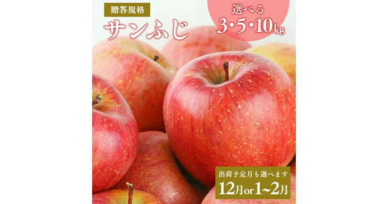 【ふるさと納税】≪発送時期と内容量が選べる≫青森県産 贈答規格 サンふじ 3kg 5kg 10kg【青森県 平川市 山内農園】12月発送 1月〜2月発送 平川市産 青森りんご りんご リンゴ 林檎 ふじ 贈答 贈答品 お取り寄せ 先行予約 果物 くだもの フルーツ レビューキャンペーン