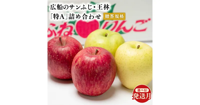 【ふるさと納税】≪発送時期が選べる≫青森県産 贈答用 広船のサンふじ・王林詰合せ 約5kg 特A【青森県 平川市 広船アップルクラブ】贈答 サンふじ ふじ 王林 広船 年内 青森 青森県産 平川 りんご リンゴ 林檎 くだもの 果物 フルーツ レビューキャンペーン