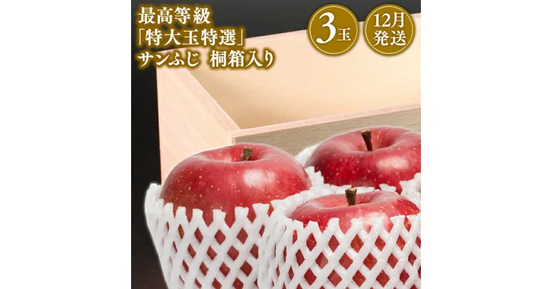 【ふるさと納税】青森県産 最高等級「特大玉特選」サンふじ 3玉 桐箱入【青森県 平川市 那由多のりんご園】12月発送 青森 青森県産 平川 りんご リンゴ 林檎 くだもの 果物 ふじ 詰め合わせ フルーツ レビューキャンペーン