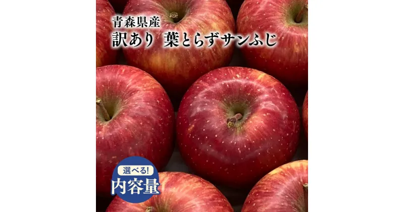 【ふるさと納税】≪内容量が選べる≫青森県産 訳あり 葉とらず サンふじ 約3kg 約5kg【青森県 平川市 岩渕農園】1月～3月発送 青森 青森県産 平川 りんご リンゴ 林檎 くだもの 果物 フルーツ レビューキャンペーン