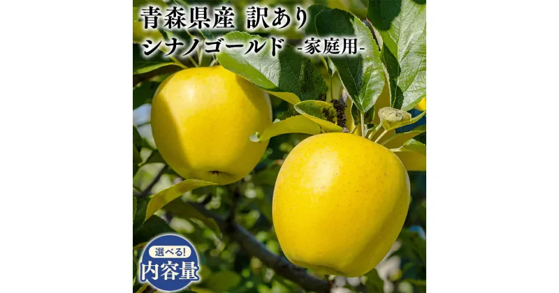 【ふるさと納税】≪内容量が選べる≫青森県産 訳あり 家庭用 甚八りんご シナノゴールド 3kg 5kg【青森県 平川市 マルジンサンアップル】6月発送 青森 青森県産 平川 りんご リンゴ 林檎 くだもの 果物 フルーツ レビューキャンペーン