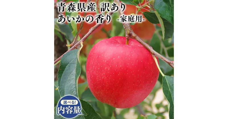 【ふるさと納税】≪内容量が選べる≫青森県産 訳あり 家庭用 甚八りんご あいかの香り 3kg 5kg【青森県 平川市 マルジンサンアップル】11～12月発送 青森 青森県産 平川 りんご リンゴ 林檎 くだもの 果物 フルーツ レビューキャンペーン