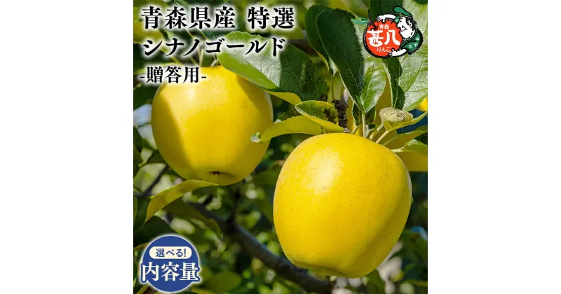 【ふるさと納税】≪内容量が選べる≫青森県産 特選 甚八りんご シナノゴールド 3kg 5kg【青森県 平川市 マルジンサンアップル】6月発送 青森 青森県産 平川 りんご リンゴ 林檎 くだもの 果物 フルーツ レビューキャンペーン