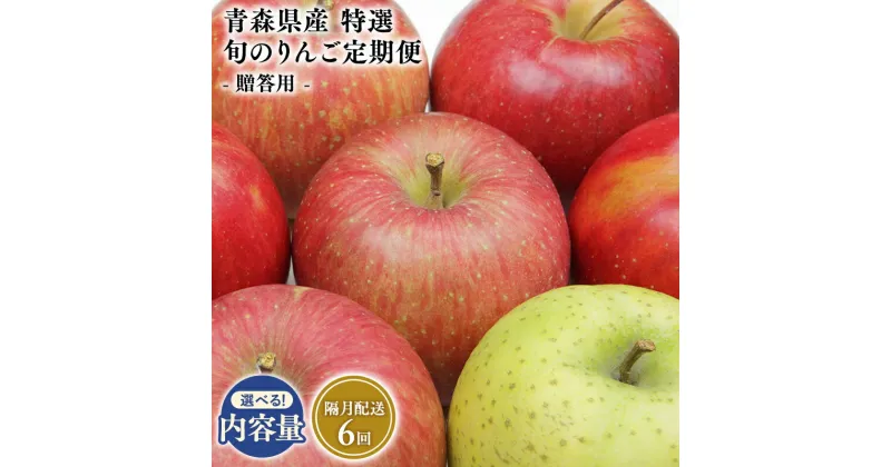 【ふるさと納税】≪内容量が選べる隔月定期便≫青森県産 特選 甚八りんご 3kg 5kg 隔月配送 全6回【青森県 平川市 マルジンサンアップル】1月 3月 5月 7月 贈答用 青森 青森県産 平川 りんご リンゴ 林檎 くだもの 果物 フルーツ レビューキャンペーン