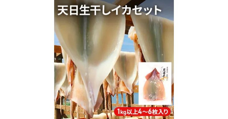 【ふるさと納税】イカ 青森県産 一本釣りいか 使用 鰺ヶ沢 名物 天日生干しイカ セット （1Kg以上4枚～6枚入り） いか 干物 干物セット 国産 するめ スルメ スルメイカ 海鮮 魚介類 魚介 海産物 ※ ご入金確認後 3ヶ月以内の発送になります。　 青森県鰺ヶ沢町