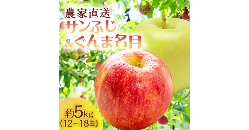 【ふるさと納税】りんご 青森 サンふじ ぐんま名月 約 5kg (12～18玉) リンゴ 詰め合わせ セット サイキチ農園 食べ比べ 青森県 鰺ヶ沢町産 フルーツ 果物 白神山地 果物類 林檎 サンフジ ふじ 2024　 鰺ヶ沢町 　お届け：2024年11月5日～12月10日