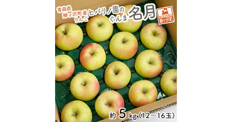 【ふるさと納税】りんご 青森 ぐんま名月 リンゴ 約 5kg (12～16玉) 青森県 鰺ヶ沢町産 ヒバリノ園 フルーツ 果物 果物類 白神山地 林檎 2024 ※オンライン決済のみ　 鰺ヶ沢町 　お届け：2024年11月10日～12月10日