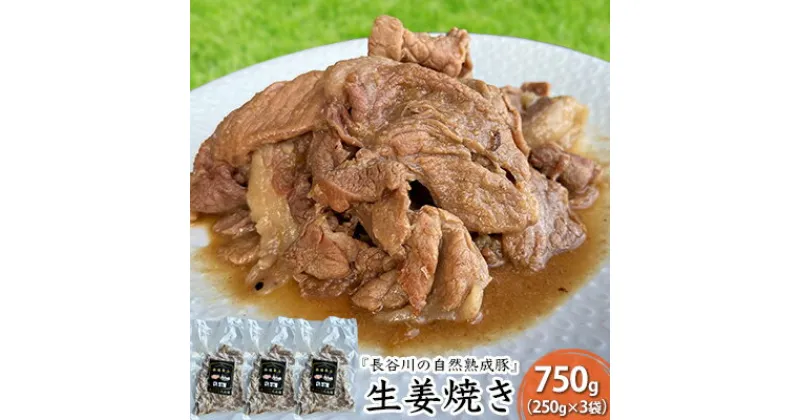 【ふるさと納税】生姜焼き 750g (250g×3袋) 長谷川の自然熟成豚 湯煎 湯せん おかず 惣菜 レトルト レトルト食品 簡単調理 豚 ぶた ブタ 豚肉 肉 お肉 キャンプ アウトドア キャンプ飯 青森 青森県　鯵ヶ沢町