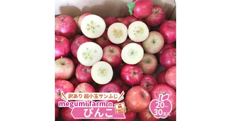 【ふるさと納税】青森県鰺ヶ沢町産りんご megumi farmのぴんこ【訳あり 超小玉サンふじ】（20～30玉入）　 果物類 フルーツ 人気 産地直送 世界自然遺産りんご飴 甘口 安全 安心 　お届け：2024年11月20日～2024年12月15日