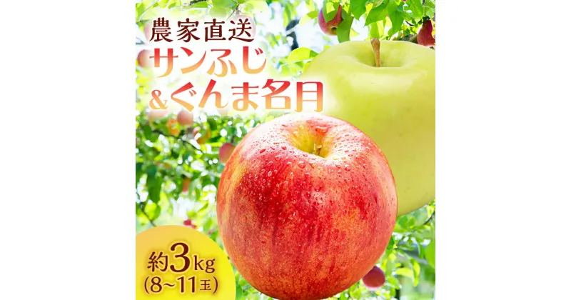 【ふるさと納税】サイキチ農園のサンふじ ぐんま名月 約 3kg (8～11玉) 青森県鰺ヶ沢町産りんご 　お届け：2024年11月5日～12月10日