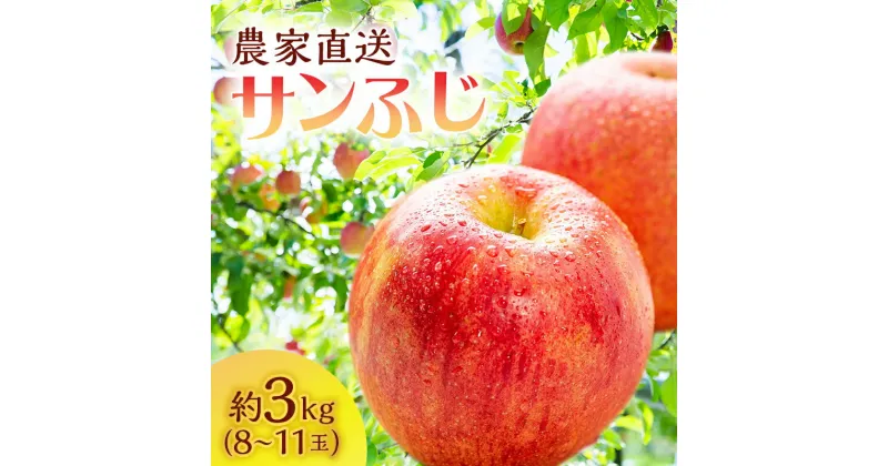 【ふるさと納税】サイキチ農園のサンふじ 約 3kg (8～11玉) 青森県鰺ヶ沢町産りんご 　お届け：2024年11月10日～12月31日