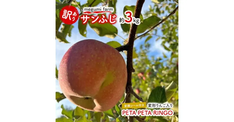 【ふるさと納税】【変顔シール付き 変形りんご入り】 青森県鰺ヶ沢町産 訳あり サンふじ 約3kg (8～9玉) PETA PETA RINGO　お届け：2024年11月20日～2024年12月15日