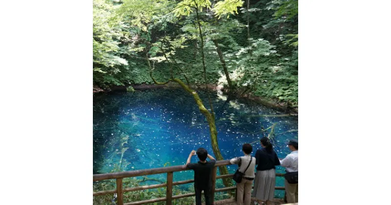 【ふるさと納税】アオーネ白神十二湖　ペア宿泊券（1泊2食付）十二湖トレッキング体験付き　旅行・宿泊券・体験チケット