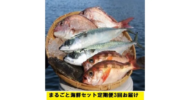 【ふるさと納税】まるごと海鮮セット定期便3回お届け　定期便・魚介類・海鮮セット・海鮮