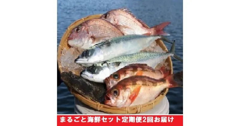 【ふるさと納税】まるごと海鮮セット定期便2回お届け　定期便・魚介類・海鮮セット・海鮮