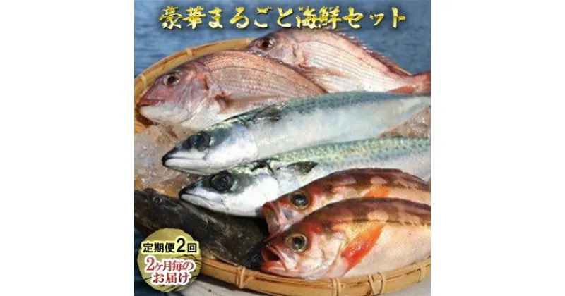 【ふるさと納税】豪華まるごと海鮮セット定期便2回お届け　定期便・ 魚介類 海の幸 お楽しみ 丸ごと 切り身 詰め合わせ