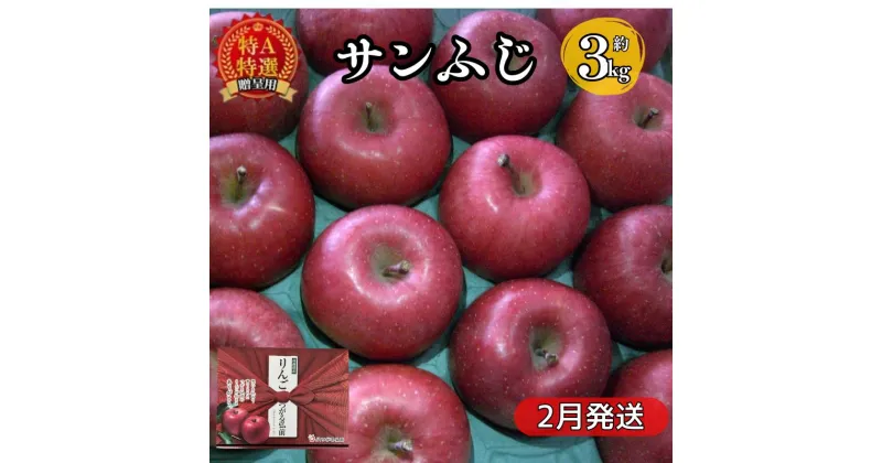 【ふるさと納税】化粧箱入りサンふじ約3kg 贈答用 【特A】（2月発送）青森県産　 果物 りんご 青森りんご サンふじ 旬のフルーツ 産地直送 贈答用 　お届け：2025年2月中旬～下旬頃随時発送