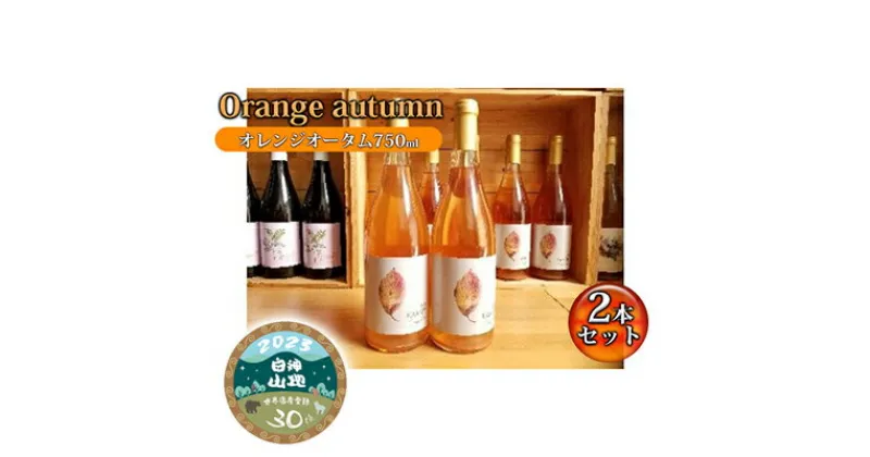 【ふるさと納税】B-17 Orenge autumu（オレンジオータム750ml）2本セット　 お酒 ワイン ワイナリー 酸味 青デラウェア 甘味 完熟 デラウェア 醸す スパイシー 白神山地 記念 贈り物