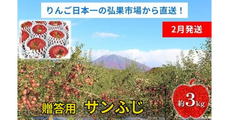 【ふるさと納税】【2月発送】贈答用 サンふじ 約3kg【青森りんご】　果物 果実 フルーツ 新鮮 美味しい 自然環境 赤い 太陽 ジューシー 芳香 セット 贈り物 ギフト 　お届け：2025年2月1日～2025年2月26日