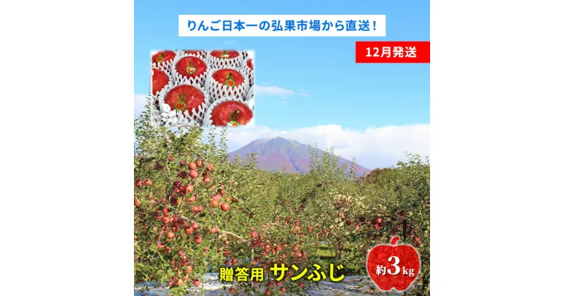 【ふるさと納税】【12月発送】贈答用 サンふじ 約3kg【青森りんご】　 果物 フルーツ デザート 食後 新鮮 甘味が強い ジューシー 産地直送 　お届け：2024年12月1日～2024年12月26日