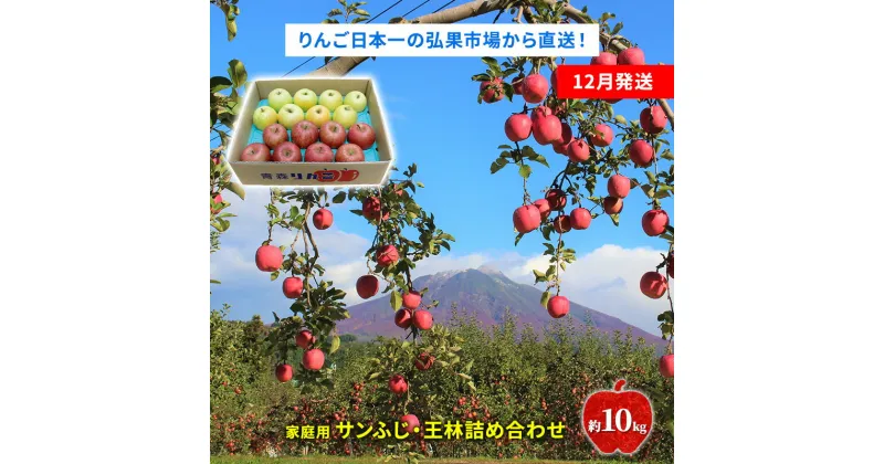 【ふるさと納税】【12月発送】家庭用 サンふじ・王林詰め合わせ 約10kg【青森りんご】　 果物 フルーツ デザート 食後 新鮮 甘味が強い ジューシー 産地直送 　お届け：2024年12月1日～2024年12月26日