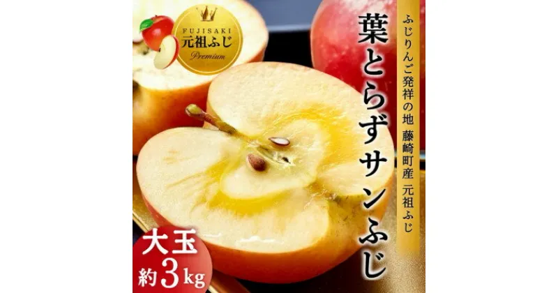 【ふるさと納税】[先行予約] 葉とらずサンふじ 大玉 約3kg(6～8玉) ご家庭用 青森県産【配送不可地域：離島・沖縄県】【1102373】