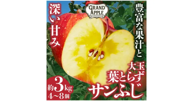 【ふるさと納税】☆令和6年産先行予約☆【大玉指定】葉とらずサンふじ　特Aご家庭用3kg【配送不可地域：離島・沖縄県】【1344023】