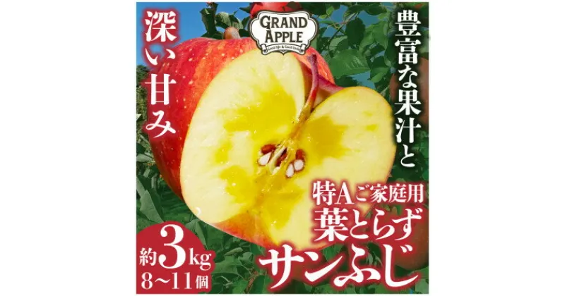 【ふるさと納税】〈令和6年産先行予約〉皮ごとバリッ!葉とらずサンふじ　特Aご家庭用 約3kg【配送不可地域：離島・沖縄県】【1353849】