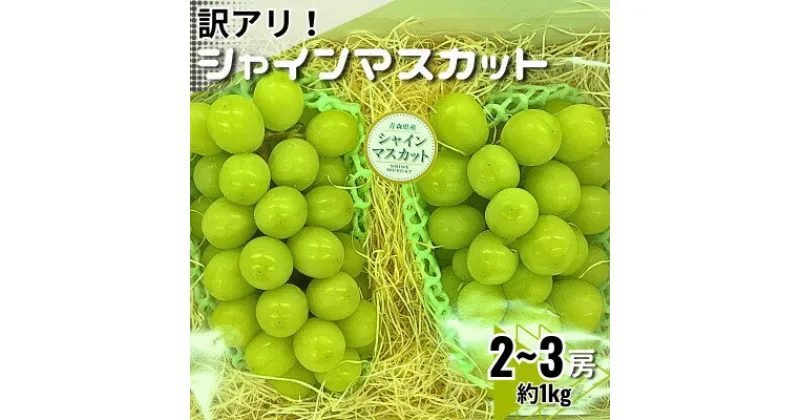 【ふるさと納税】【訳あり】シャインマスカット2～3房　約1kg【配送不可地域：離島】【1454125】