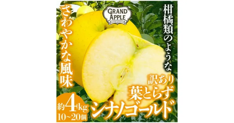 【ふるさと納税】シナノゴールド　訳あり　約4kg(10～20個)【配送不可地域：離島】【1552668】