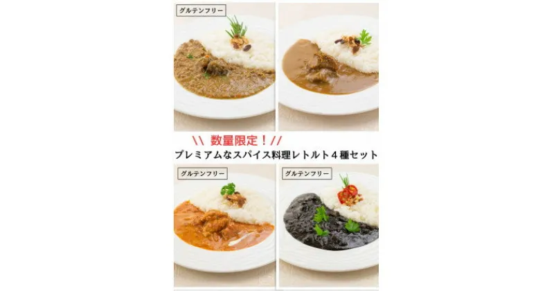 【ふるさと納税】数量限定!エピスクラブのスパイス料理第四弾 レトルトカレー4種セット【1453876】