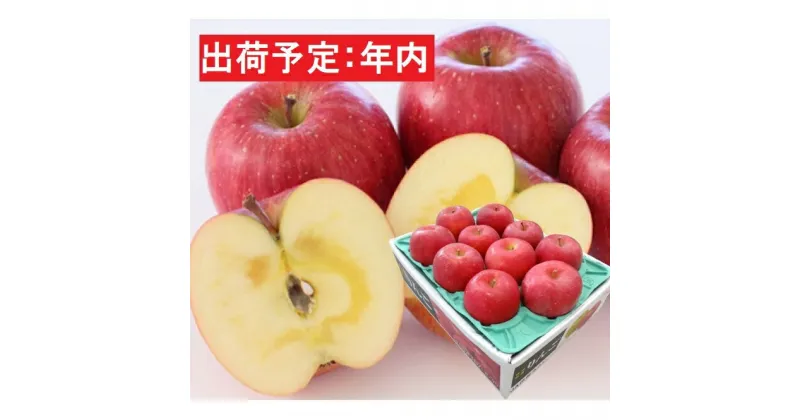 【ふるさと納税】年内 贈答規格 蜜入り サンふじ 約3kg（特A）【12月・青森りんご・JA津軽みらい(板柳）】　果物類・林檎・りんご・リンゴ　お届け：2024年12月1日～2024年12月28日