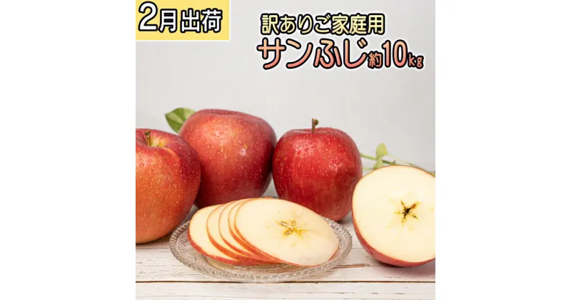 【ふるさと納税】2月 ご家庭用 サンふじ 約10kg【訳あり】【2月・青森りんご・JA津軽みらい(板柳）】　果物類・林檎・りんご・リンゴ　お届け：2025年2月1日～2025年2月29日