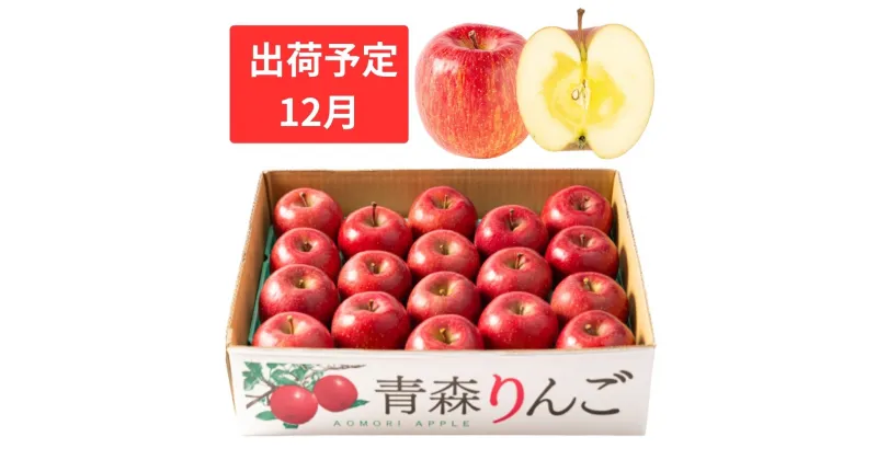 【ふるさと納税】12月 特A 蜜入り サンふじ 約5kg 糖度13度以上【青森りんご・マルコウアップル】　果物類・林檎・りんご・リンゴ　お届け：2024年12月1日～2024年12月30日