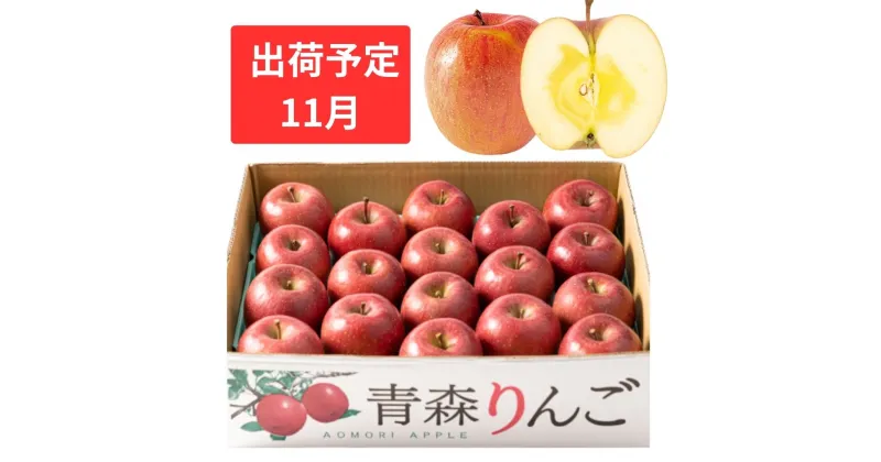 【ふるさと納税】【11月下旬発送】 訳あり 家庭用 蜜入りサンふじ 約5kg【青森りんご・マルコウアップル】　果物類・林檎・りんご・リンゴ　お届け：2024年11月下旬～2024年11月30日