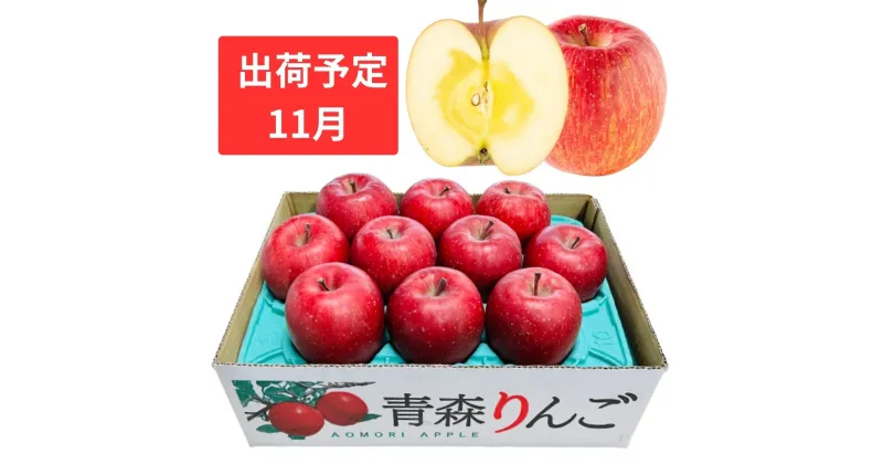 【ふるさと納税】【11月下旬発送】 特A 蜜入りサンふじ約3kg　糖度13度以上 【青森りんご・マルコウアップル】　果物類・林檎・りんご・リンゴ・特A・サンふじ・フルーツ・約3kg・糖度13度以上　お届け：2024年11月下旬～2024年11月30日