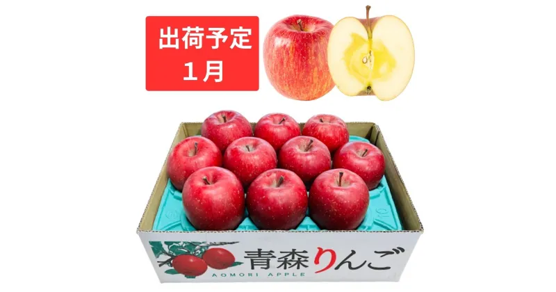 【ふるさと納税】1月 特A 蜜入りサンふじ約3kg　糖度13度以上 【青森りんご・マルコウアップル】　果物類・林檎・りんご・リンゴ・ふじ・特A・約3kg・糖度13度以上　お届け：2025年1月6日～2025年1月30日