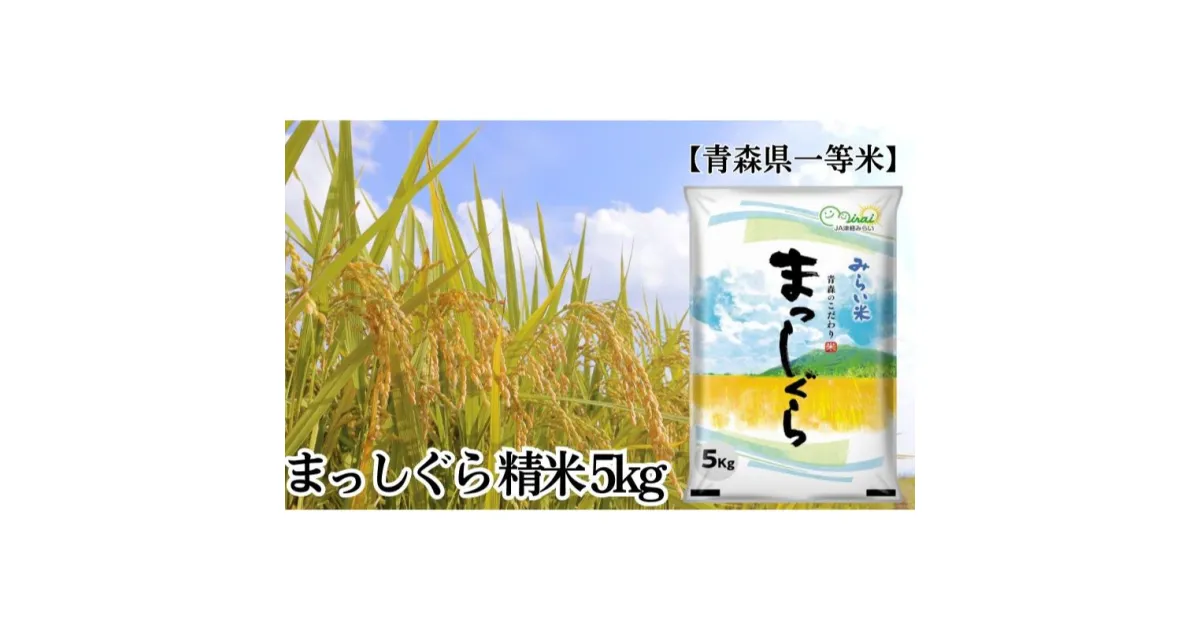 【ふるさと納税】「令和6年産」まっしぐら 精米 5kg【青森県産 一等米】　お米・青森県産